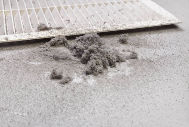 Best Home Air Vent Cleaning  in Watergate, FL